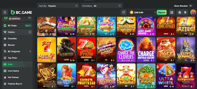 Exploring the BC.Game Argentina App A Comprehensive Guide for Gamers